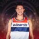 Danilo Gallinari Wizards